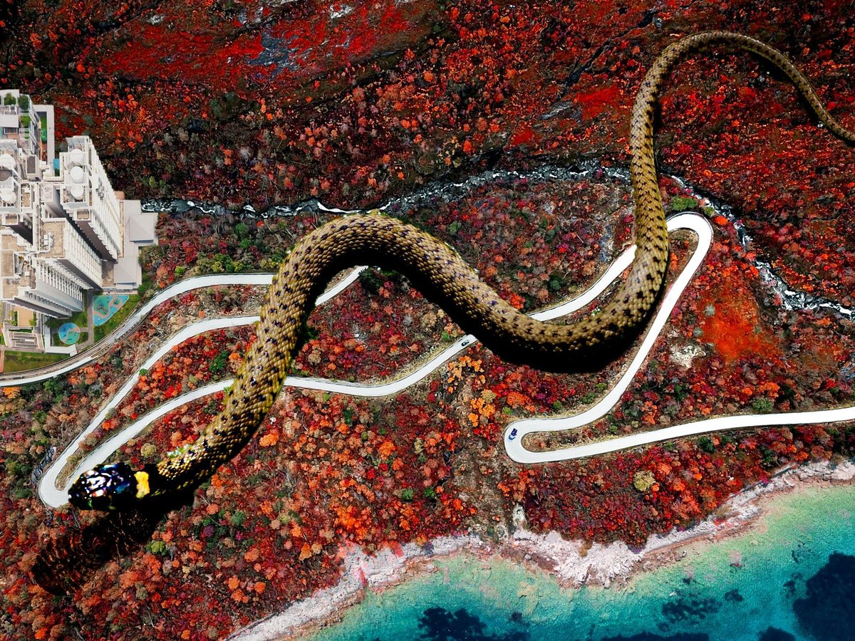 Tread on me? I’ll tread on you
