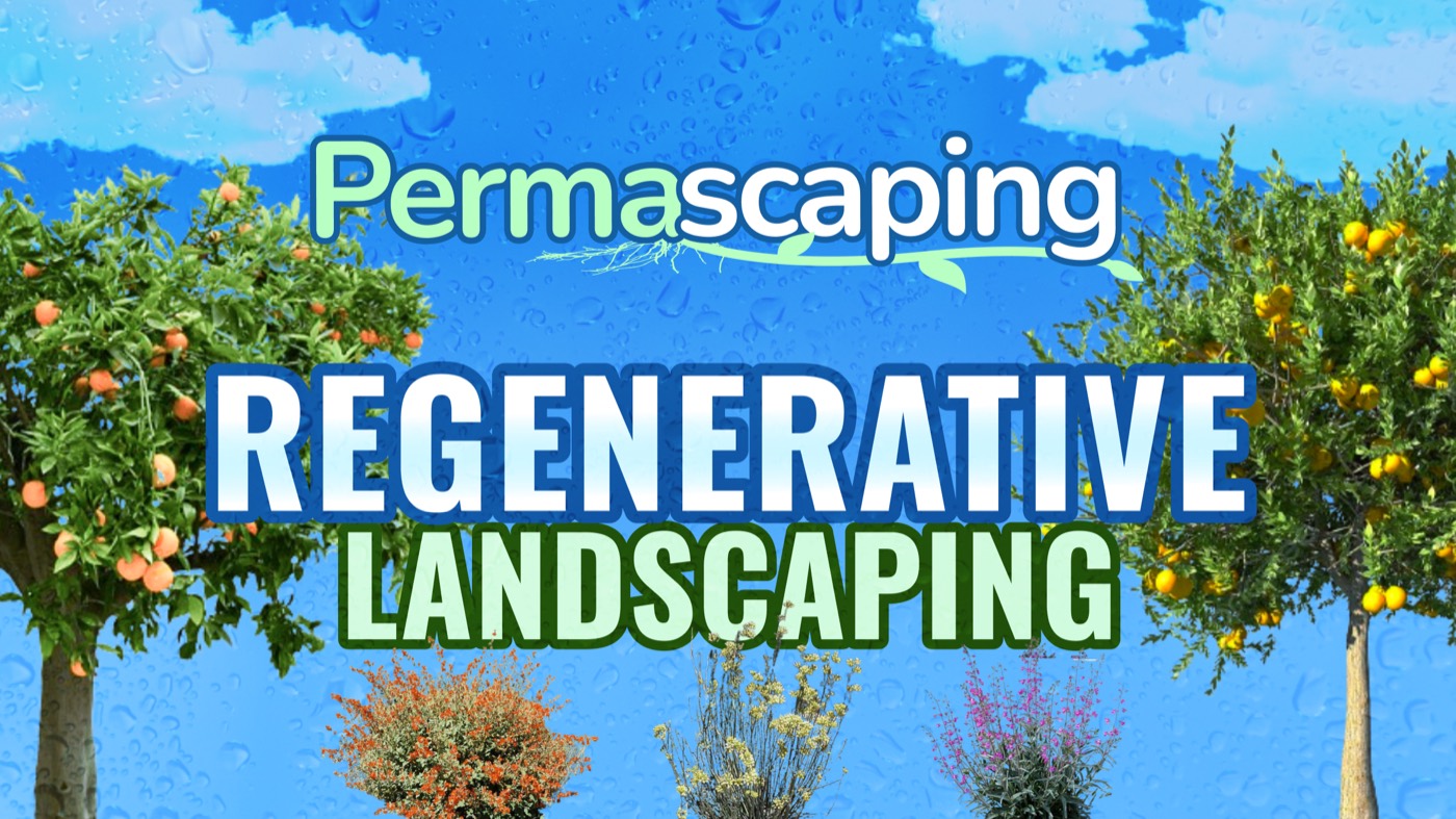 Permascaping